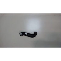 Патрубок интеркулера Volkswagen Golf 4 1997-2005 2001 1J0145828E