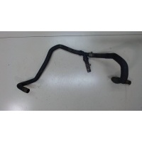 Патрубок охлаждения Renault Clio 2005-2009 2009 8200804899