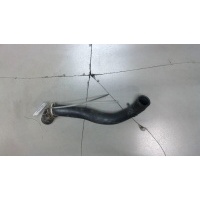 Патрубок охлаждения Renault Scenic 2003-2009 2006 8200233966