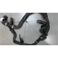 Патрубок охлаждения Ford Transit 2014- 2015 1944041
