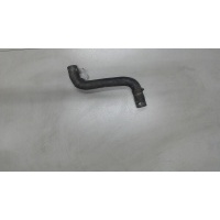 Патрубок охлаждения Renault Clio 2009-2012 2010 8200173003