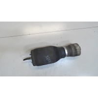 Пневмоподушка BMW X5 E53 2000-2007 2006 37126750356