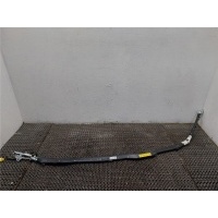 Подушка безопасности боковая (шторка) Volkswagen Phaeton 2002-2010 2005 3D1880742C