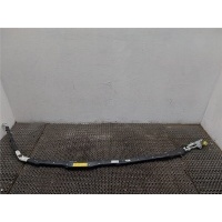 Подушка безопасности боковая (шторка) Volkswagen Phaeton 2002-2010 2005 3D1880741C
