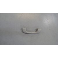 Ручка потолка салона Buick Encore GX 2021 42541400