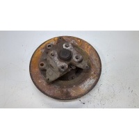 Ступица (кулак, цапфа) Renault Scenic 2009-2012 2010 432020984R