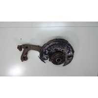 Ступица (кулак, цапфа) Volkswagen Passat 5 2000-2005 2004 8D0407254C