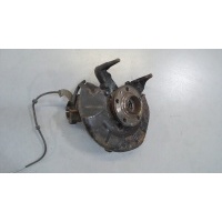 Ступица (кулак, цапфа) Skoda Fabia 1999-2004 2001 6Q0407621BR
