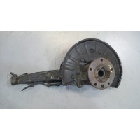 Ступица (кулак, цапфа) Porsche Cayenne 2002-2007 2003 95534160510