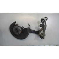 Ступица (кулак, цапфа) Volkswagen Passat 5 2000-2005 2004 8D0407254B