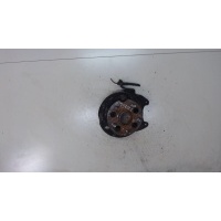 Ступица (кулак, цапфа) Toyota RAV 4 2000-2005 2002 4241042030