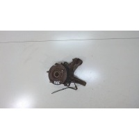 Ступица (кулак, цапфа) Hyundai Tucson 1 2004-2009 2006 517162E100