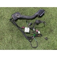 жгут проводки двери Mercedes-Benz E class W213 2019 a2135409248