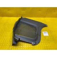 Решетка под лобовое стекло ( жабо ) Mercedes-Benz GLE-Class AMG GLE 53 4MATIC+ 2020 A1678311300