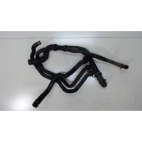 Патрубок охлаждения Renault Scenic 2003-2009 2007 8200580569