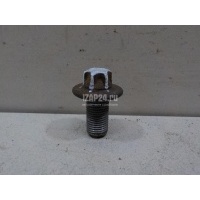 Болт Renault Megane II (2003 - 2009) 7703002714