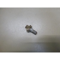 Болт цапфы Renault Scenic II (2003 - 2009) 7703002880