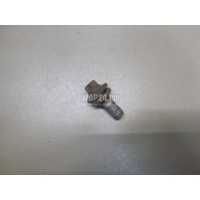 Болт цапфы Renault Scenic II (2003 - 2009) 7703002880