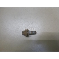 Болт цапфы Renault Scenic II (2003 - 2009) 7703002880