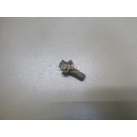 Болт цапфы Renault Scenic II (2003 - 2009) 7703002880