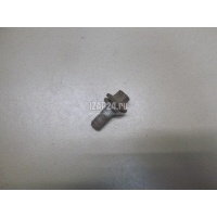 Болт цапфы Renault Scenic II (2003 - 2009) 7703002880
