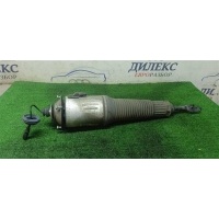 амортизатор пневматический Audi Audi A8 [4E] 2002-2007 2005 4E0616039AF
