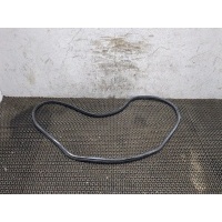 Уплотнитель Audi A6 (C6) 2005-2011 2008 4F5827705C