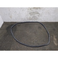 Уплотнитель Lexus GS 2005-2012 2007 6231230230C0