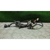 Проводка двери задней правой Audi A6 C6 (S6,RS6) 2006 4F1971687