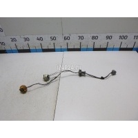 Патрон лампы Ford Focus II (2008 - 2011) 1567128