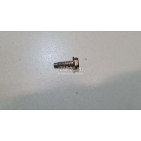 Болт Nissan Murano (Z51) (2008 - 2015) 081A66161A