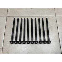 К-кт болтов головки блока Volkswagen Tiguan (Mk 2) II (2016– н.в.) WHT007089