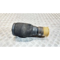 Пневмоподушка BMW 5 E39 2001 37121095082