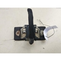 Подсветка номера Volkswagen Bora 2001 1J5943021