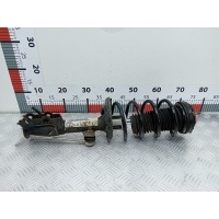 Стойка амортизатора переднего левого (МакФерсон) Ford Fiesta 6 (2008-2019) 2010 D10270SL0958,1713958