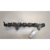 Рампа (рейка) топливная Opel Insignia 2008-2013 2011 817044