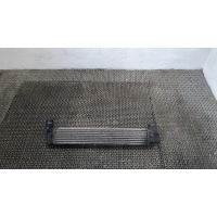 Радиатор интеркулера Renault Scenic 2009-2012 2011 144960022r