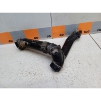 Патрубок воздушного фильтра Renault Megane 2 2007 8200231859