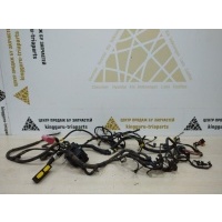 Проводка ДВС Chevrolet Aveo 2 T250 SED 2007-2011 96826034