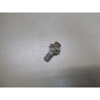 Болт цапфы Renault Scenic II (2003 - 2009) 7703002880