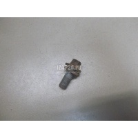 Болт цапфы Renault Scenic II (2003 - 2009) 7703002880