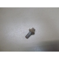 Болт цапфы Renault Scenic II (2003 - 2009) 7703002880