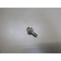 Болт цапфы Renault Scenic II (2003 - 2009) 7703002880