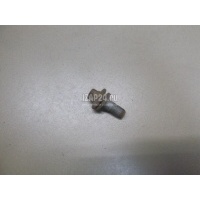 Болт цапфы Renault Scenic II (2003 - 2009) 7703002880