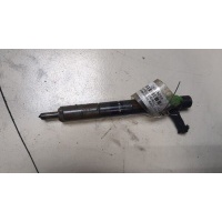 Форсунка топливная Ford Transit (Tourneo) Connect 2002-2013 2006 1219725