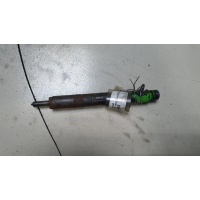Форсунка топливная Ford Transit (Tourneo) Connect 2002-2013 2006 1219725