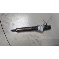 Форсунка топливная Ford Transit (Tourneo) Connect 2002-2013 2006 1219725