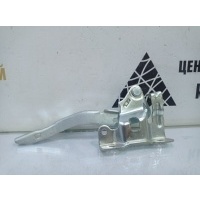 Петля капота KIA Carens 2 FG 2006-2012 791101D000