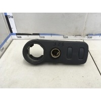 Накладка (кузов внутри) RENAULT Duster 2012> 251630024R