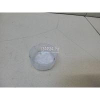 Сетка Toyota RAV 4 (2006 - 2013) 4729925010